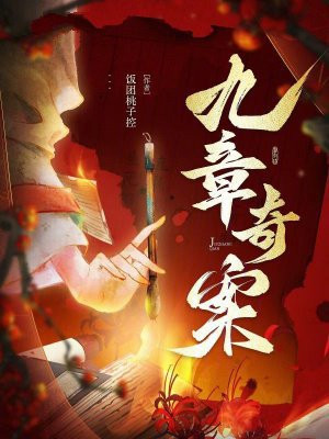 九章奇案