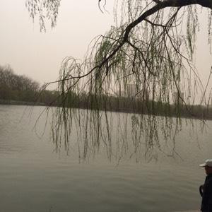 郁巽