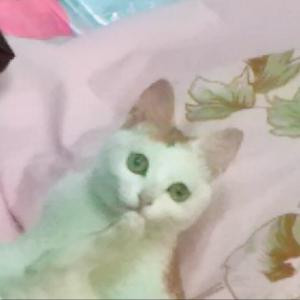 初心