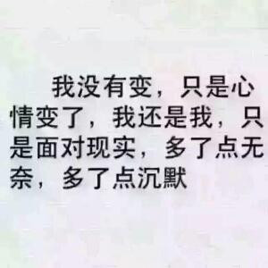 普雅