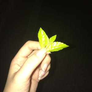 重XIN开始