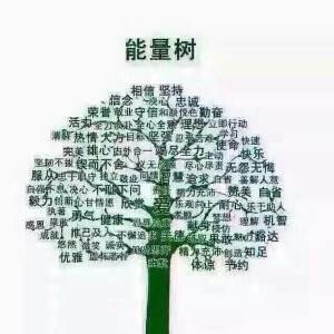 燕尾蝶