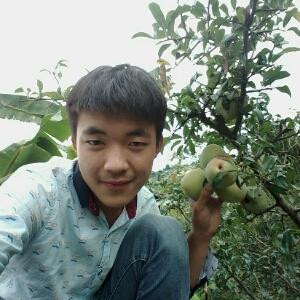 小文