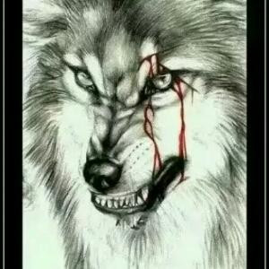 猴子请来的逗比