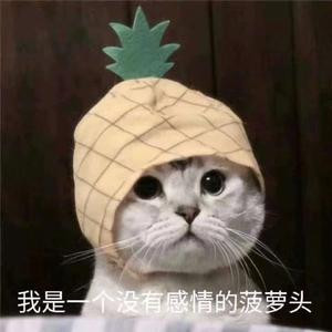 巫师拖拉机