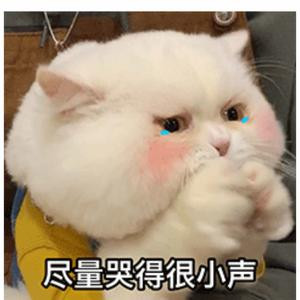 空白格?