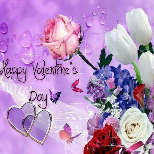 金宝的宝贝妍妍