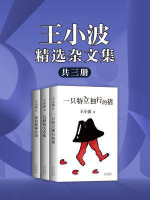 王小波精选杂文集（共三册）