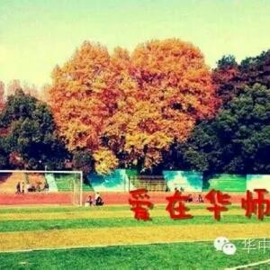 茶香天清