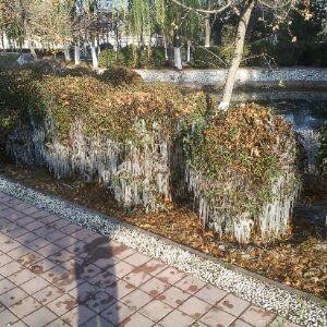 爱无悔
