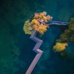 A中南漫悦湾苏日良