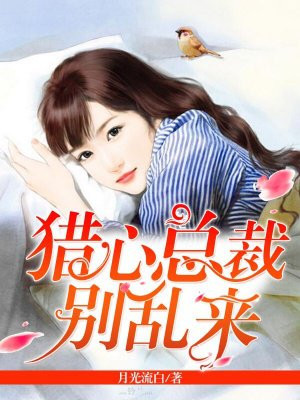 猎心总裁别乱来!