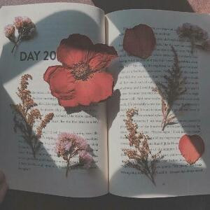 Aesthete