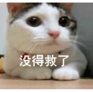 陈缘