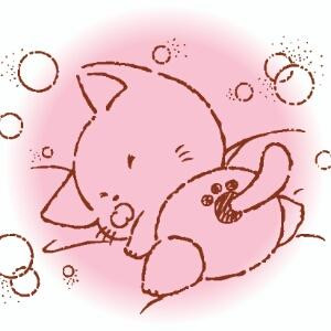 晓晓
