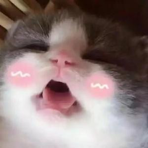 温暖的陌路人