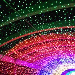 平平淡淡的人生