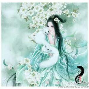 流泪的风