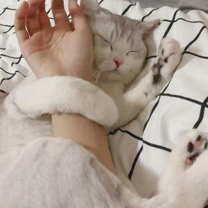 风骚走位