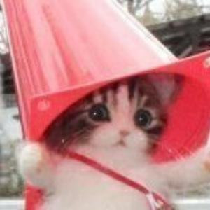 多次拒绝李泽言