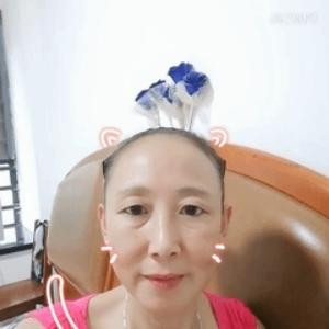 书宝