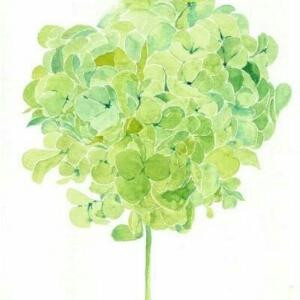 心扉　　　  -   ☀ E