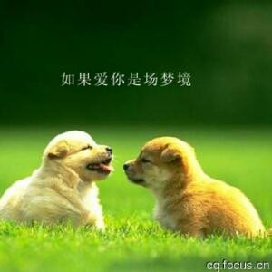 胥大帅