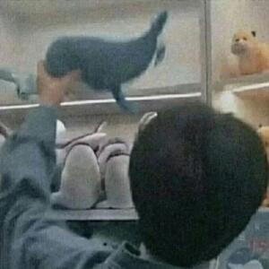 小炸太闹腾