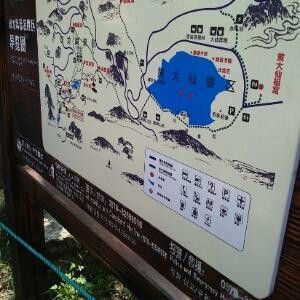 龙飞凤舞