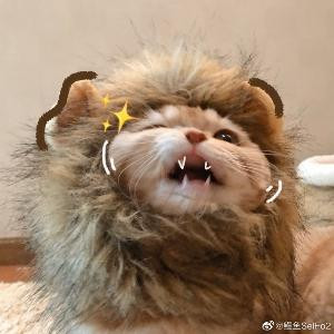欣欣欣