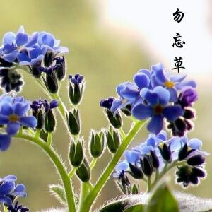 永衡