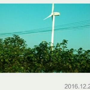 一起来看诲海