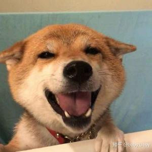 人情亦冷亦热