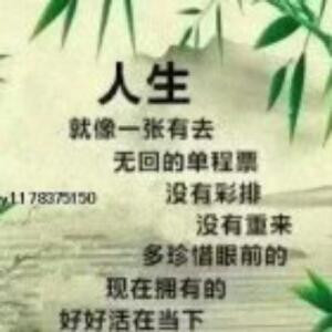 梦幻人生