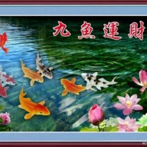 倔牛牛