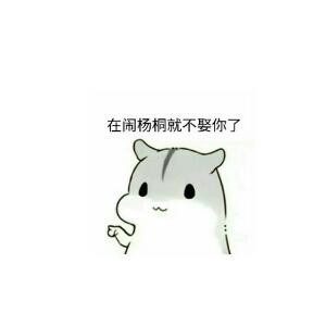 是猪吧