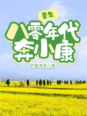 重生八零年代奔小康