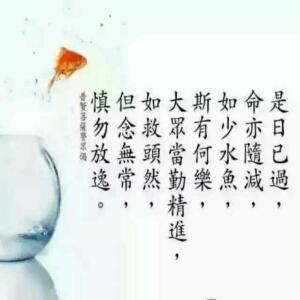 爱书