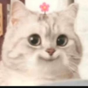 安和崧与