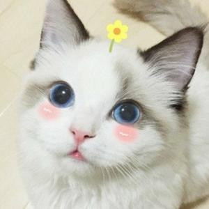 钰灵悠