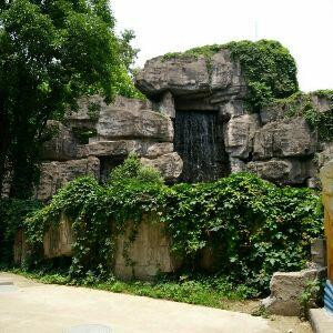 梦悠悠