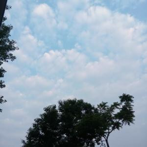 轻云一片
