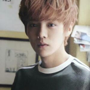 森林里的蓝精灵