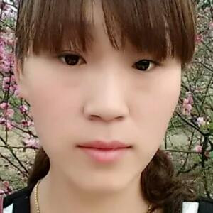 蒲公英