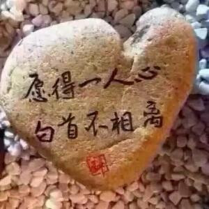 飘逸