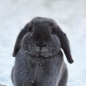 记忆好长人好旧