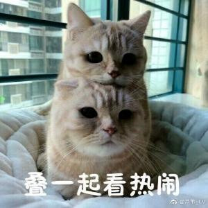 大果子