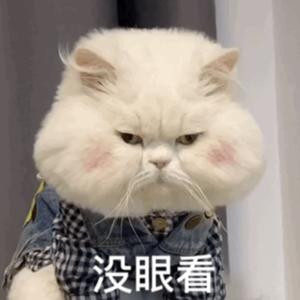 阅界探险家