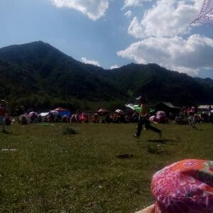 小燕子求知识