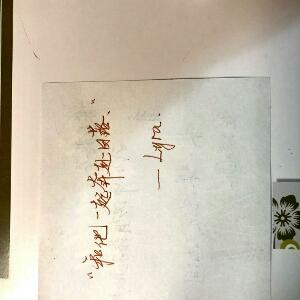 马尔福庄园蔷薇